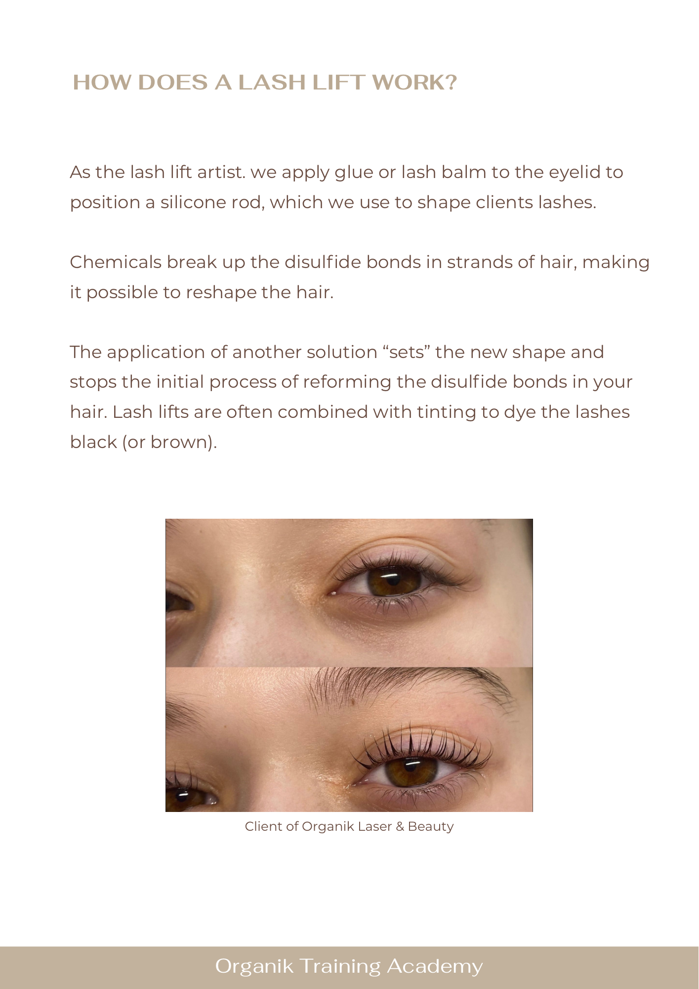 Lash Lift & Tint Course